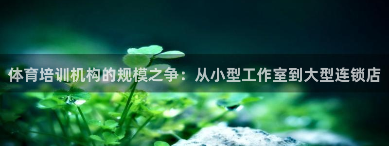 富联平台用户登陆不上：体育培训机构的规模之争：从小型